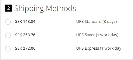 Shipping options incl. delivery time shown in cart.